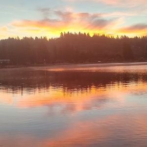 Meet your Posher, Roni